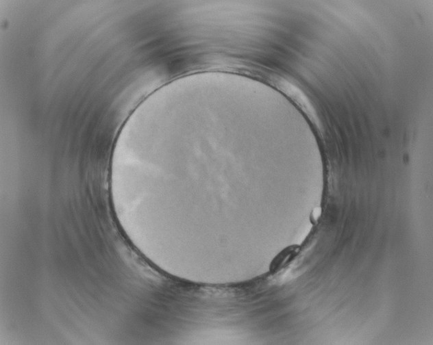 X0000088390954200706191329