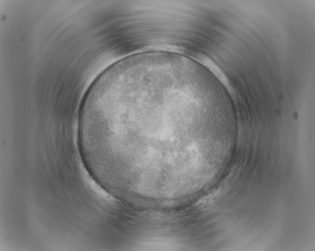 X0000088390955200706191329