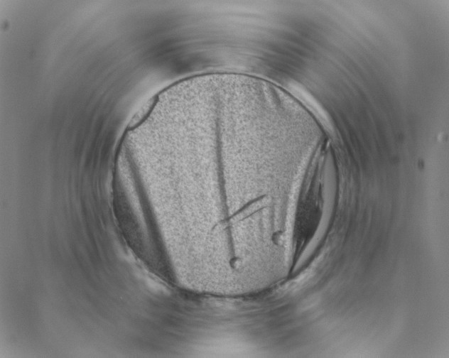 X0000088390956200706191329