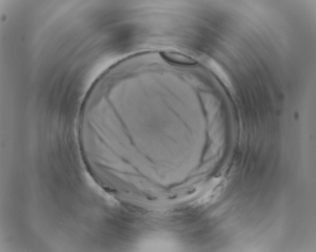 X0000088390958200706191329