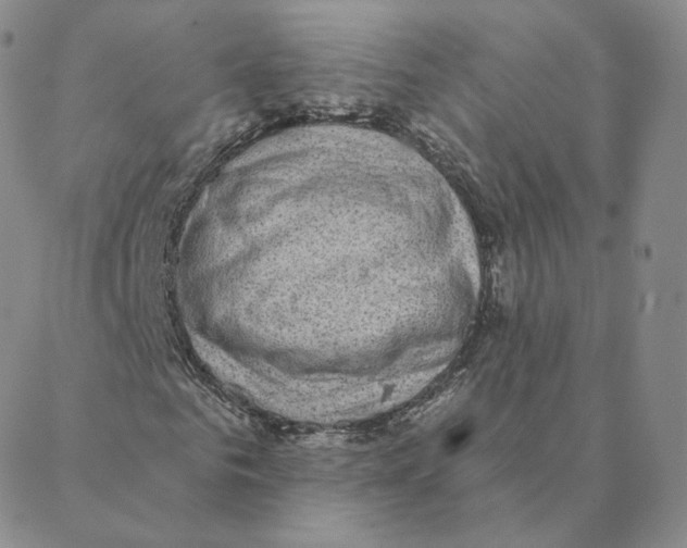 X0000088390961200706191329