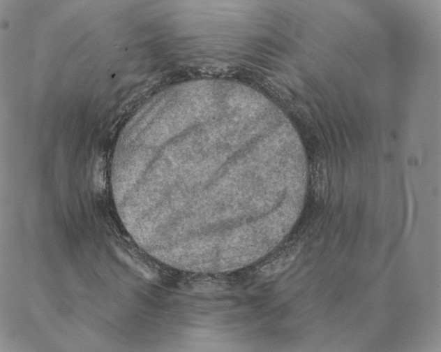 X0000088390962200706191329