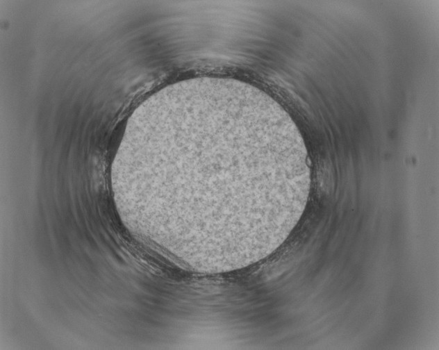 X0000088390964200706191329