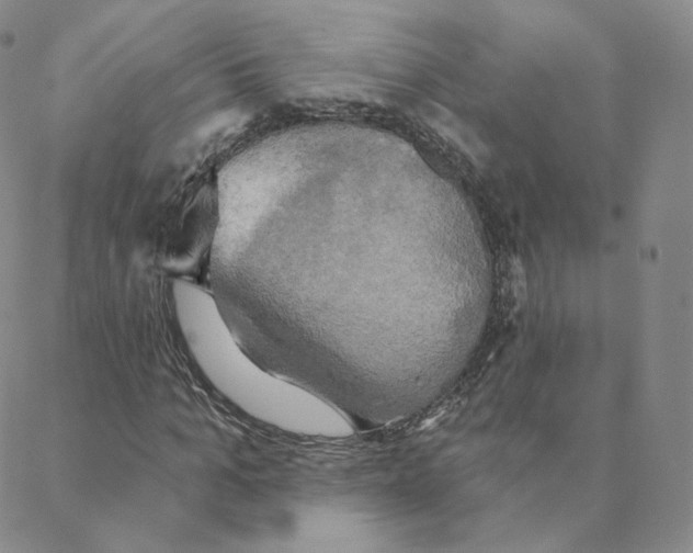 X0000088390965200706191329