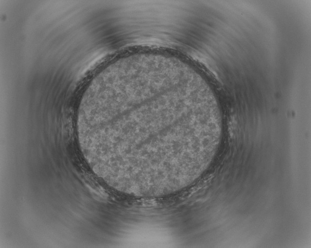 X0000088390968200706191329