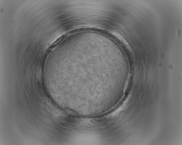 X0000088390969200706191328