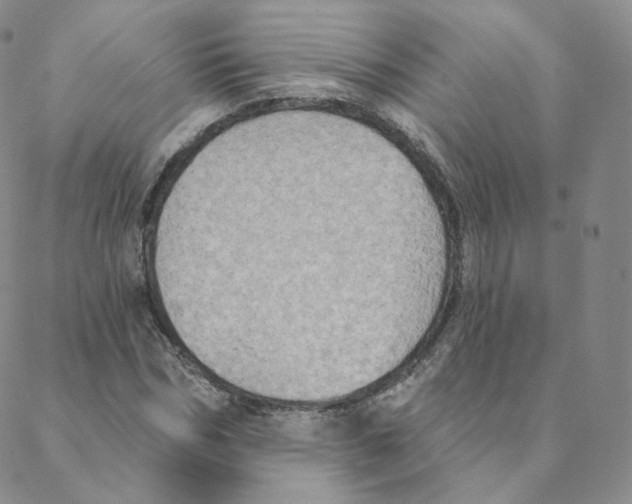 X0000088390970200706191328