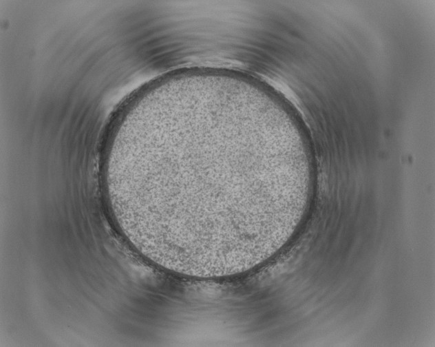 X0000088390971200706191328