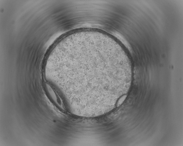 X0000088390972200706191328