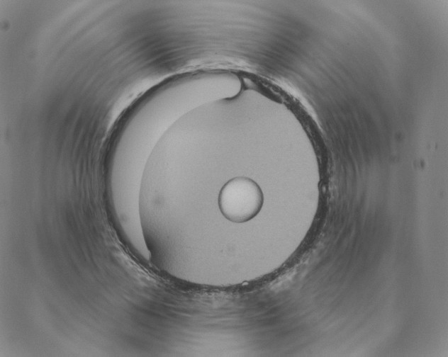 X0000088390973200706191328