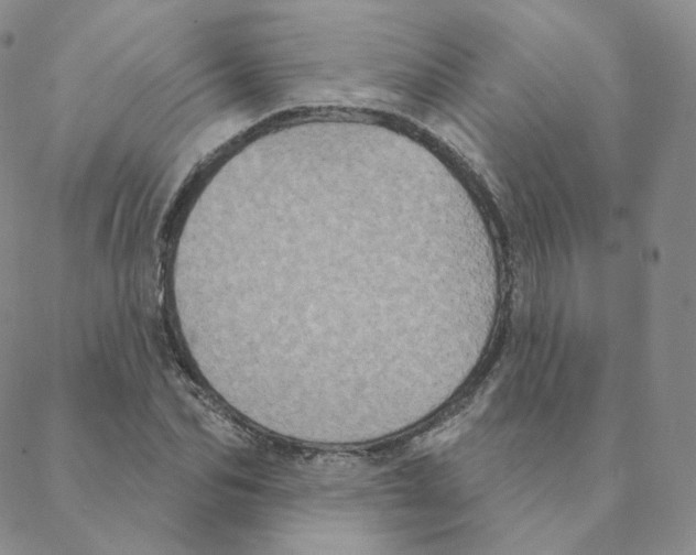 X0000088390974200706191328