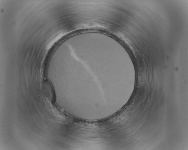 X0000088390975200706191328