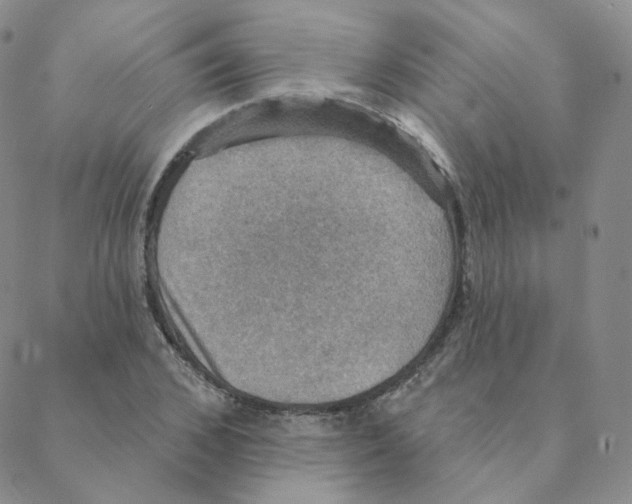 X0000088390976200706191328