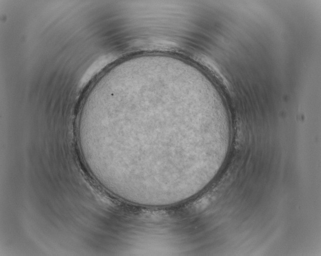 X0000088390978200706191328