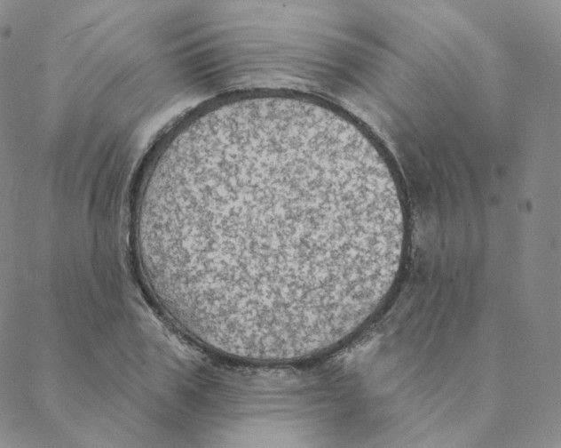 X0000088390979200706191328