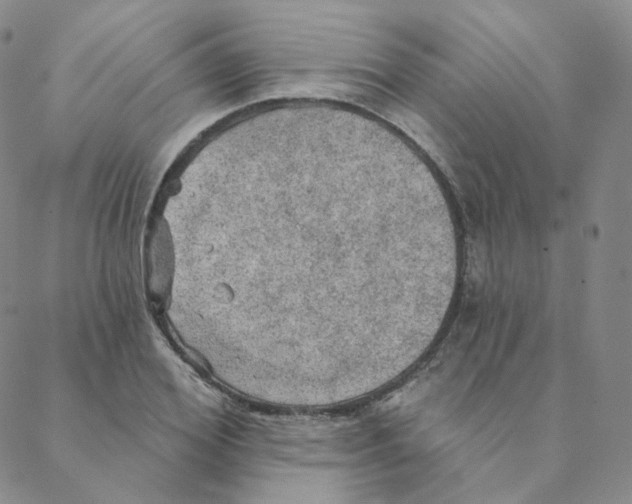 X0000088390980200706191328