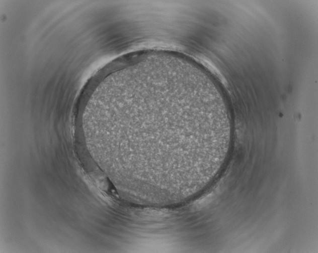 X0000088390981200706191328