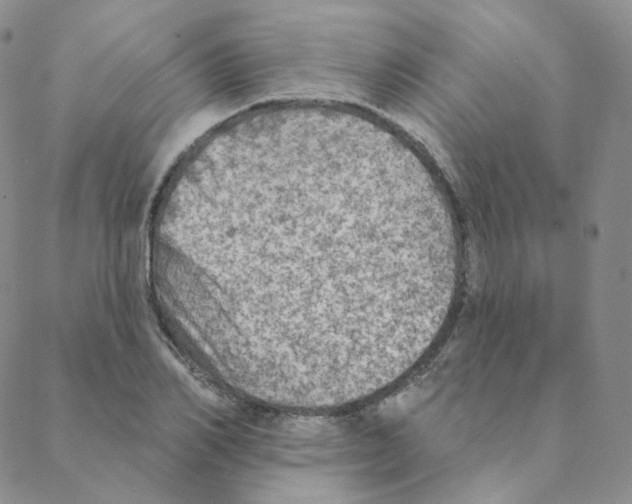 X0000088390982200706191328