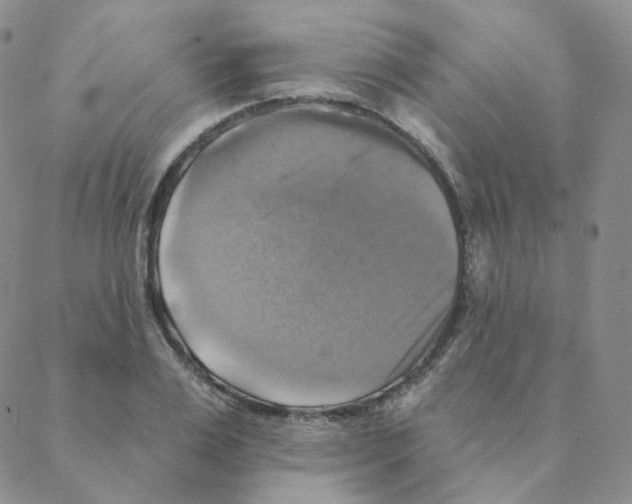 X0000088390983200706191328