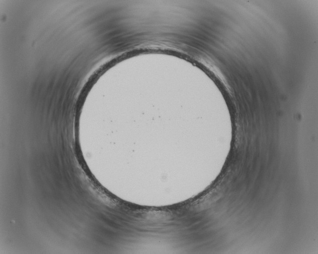 X0000088390984200706191328