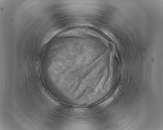 X0000088390985200706191328