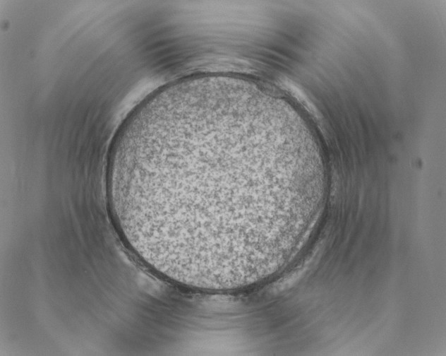 X0000088390986200706191328