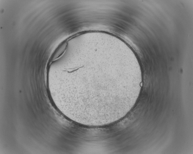 X0000088390988200706191328