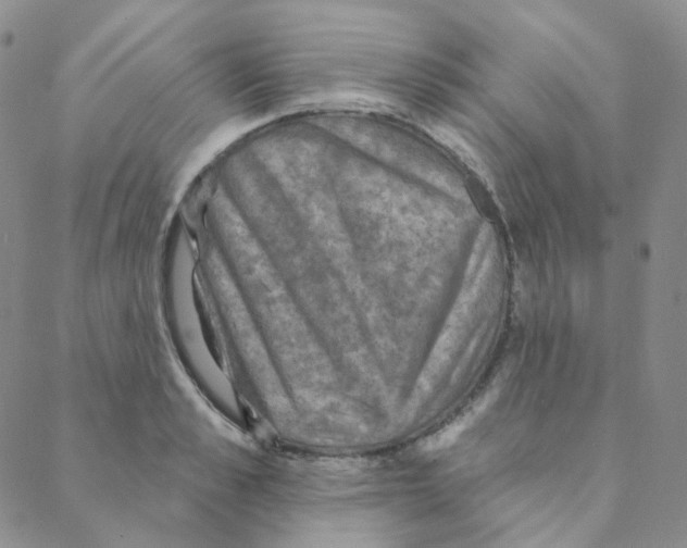 X0000088390989200706191328