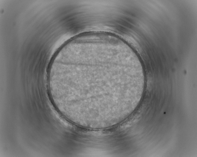 X0000088390990200706191328