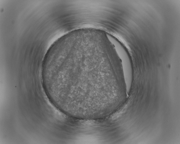 X0000088390991200706191328