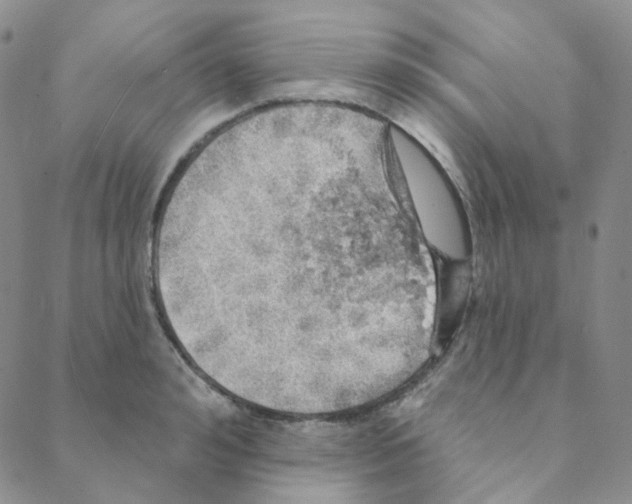 X0000088390992200706191328