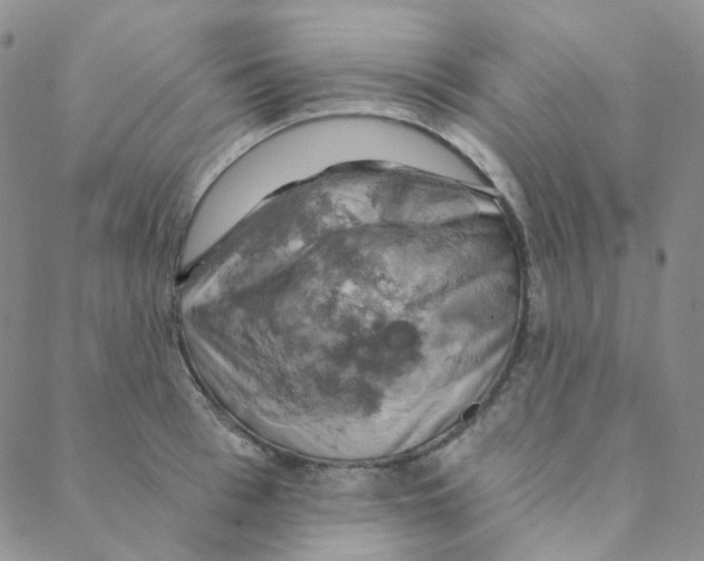 X0000088390993200706191328