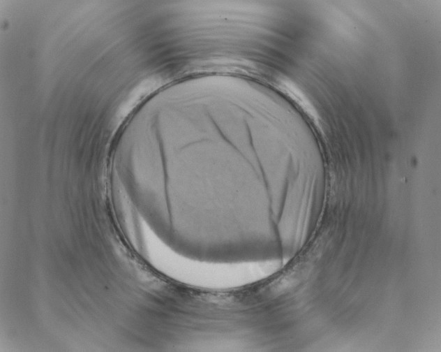 X0000088390994200706191328