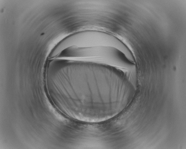 X0000088390995200706191328