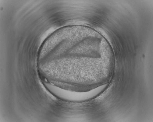 X0000088390997200706191328