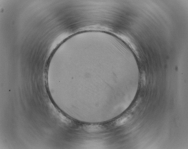 X0000088390998200706191328