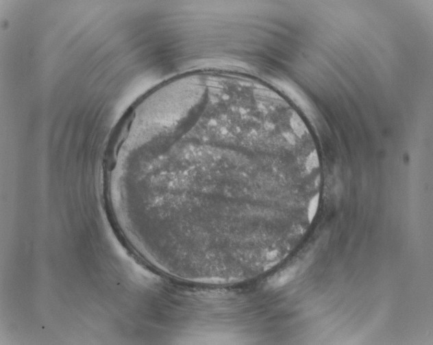 X0000088390999200706191328