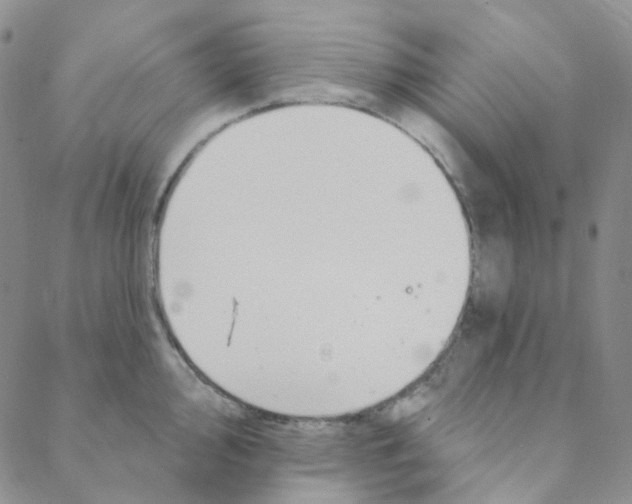 X0000088391000200706191328