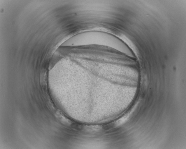 X0000088391001200706191328