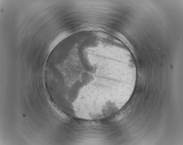 X0000088391002200706191328