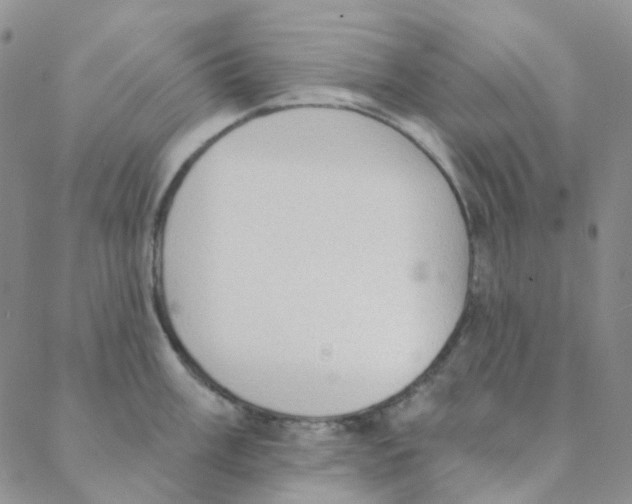 X0000088391003200706191328