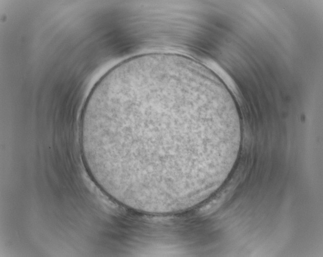 X0000088391004200706191328