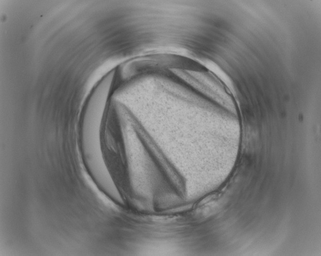 X0000088391005200706191328