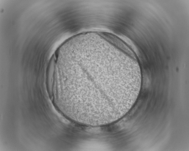 X0000088391006200706191328