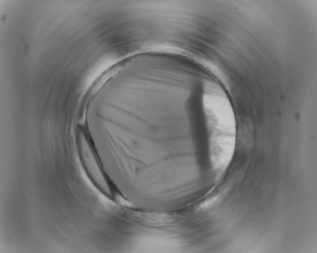 X0000088391007200706191328