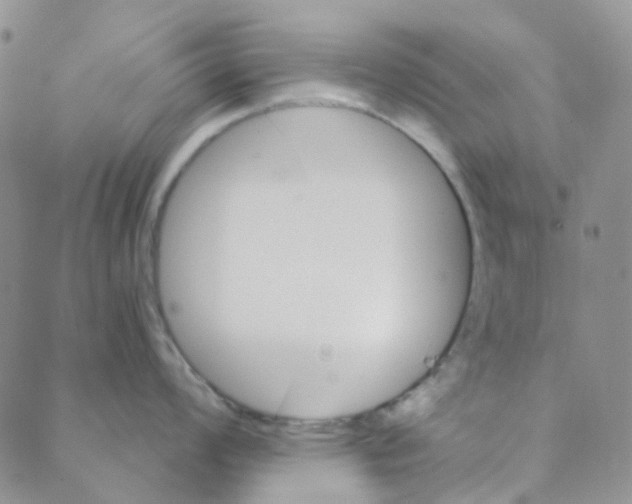 X0000088391008200706191328