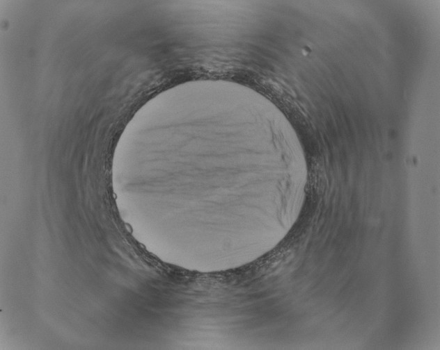 X0000088391009200706191327