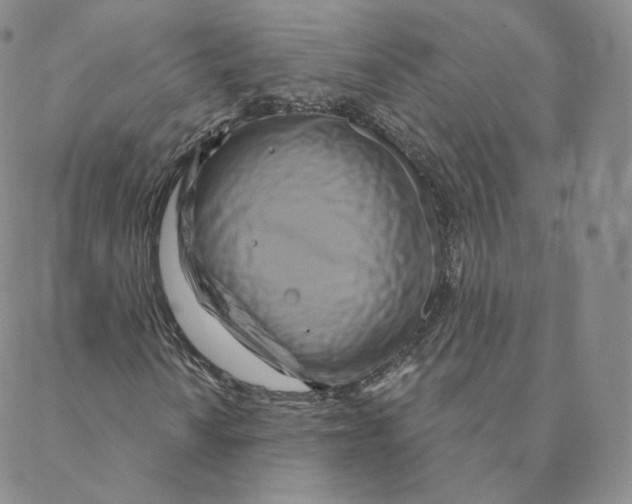 X0000088391010200706191327