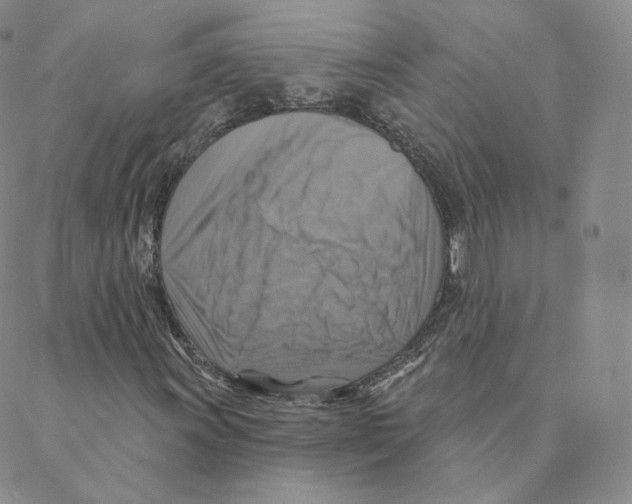 X0000088391011200706191327