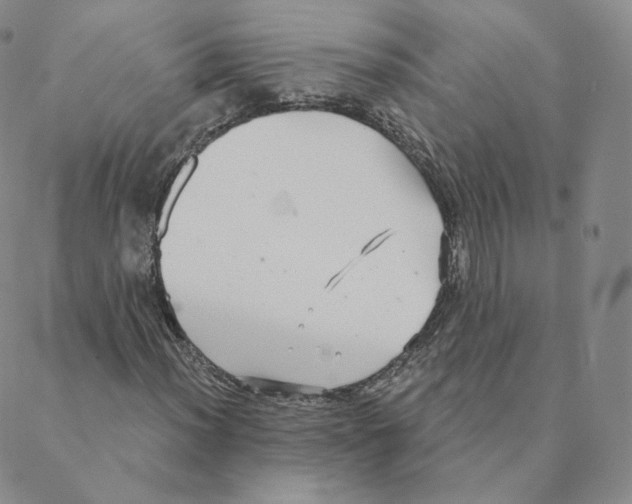 X0000088391012200706191327